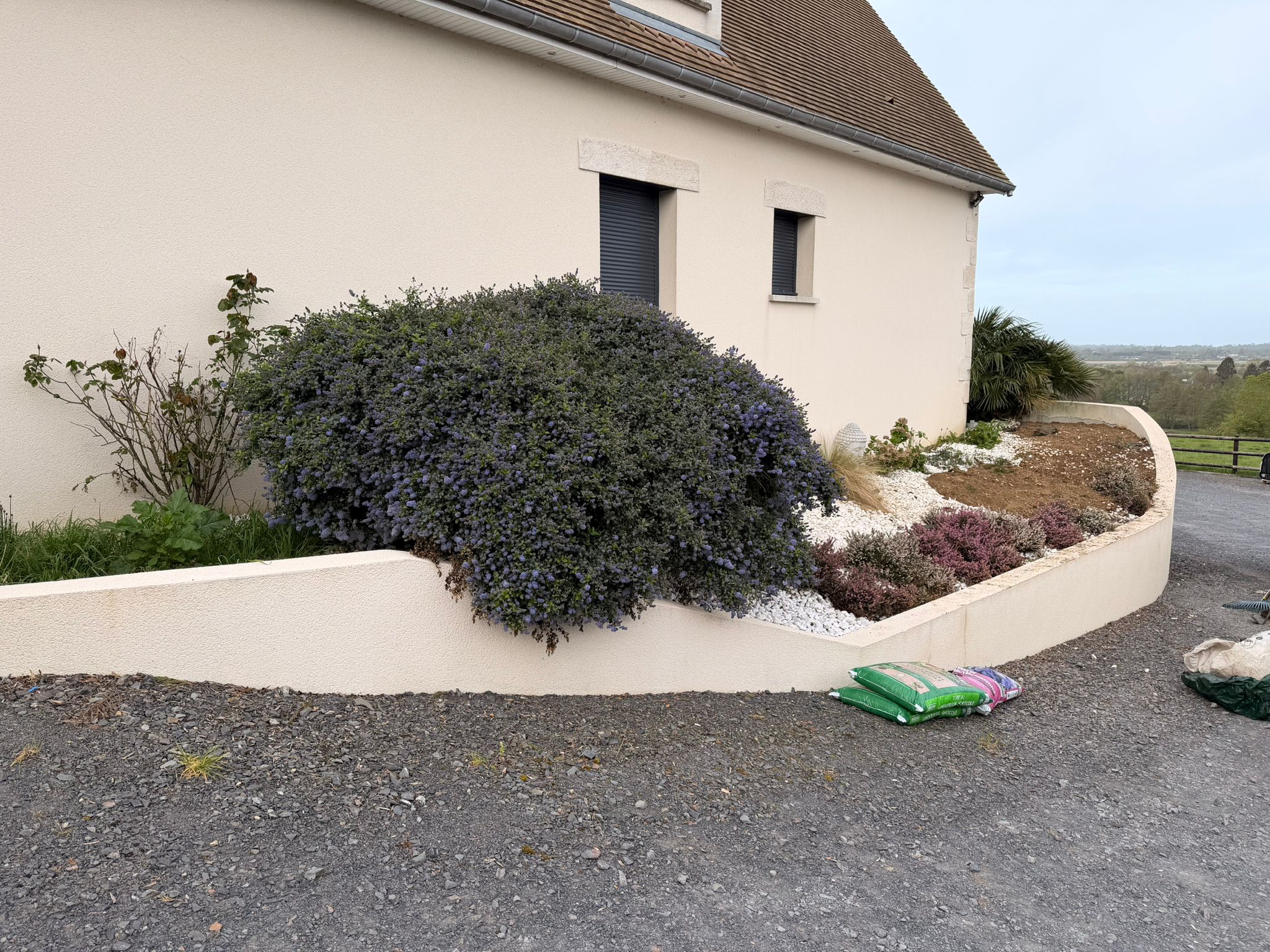 Aménagement paysager devant une maison avec massif d'arbustes et paillage blanc