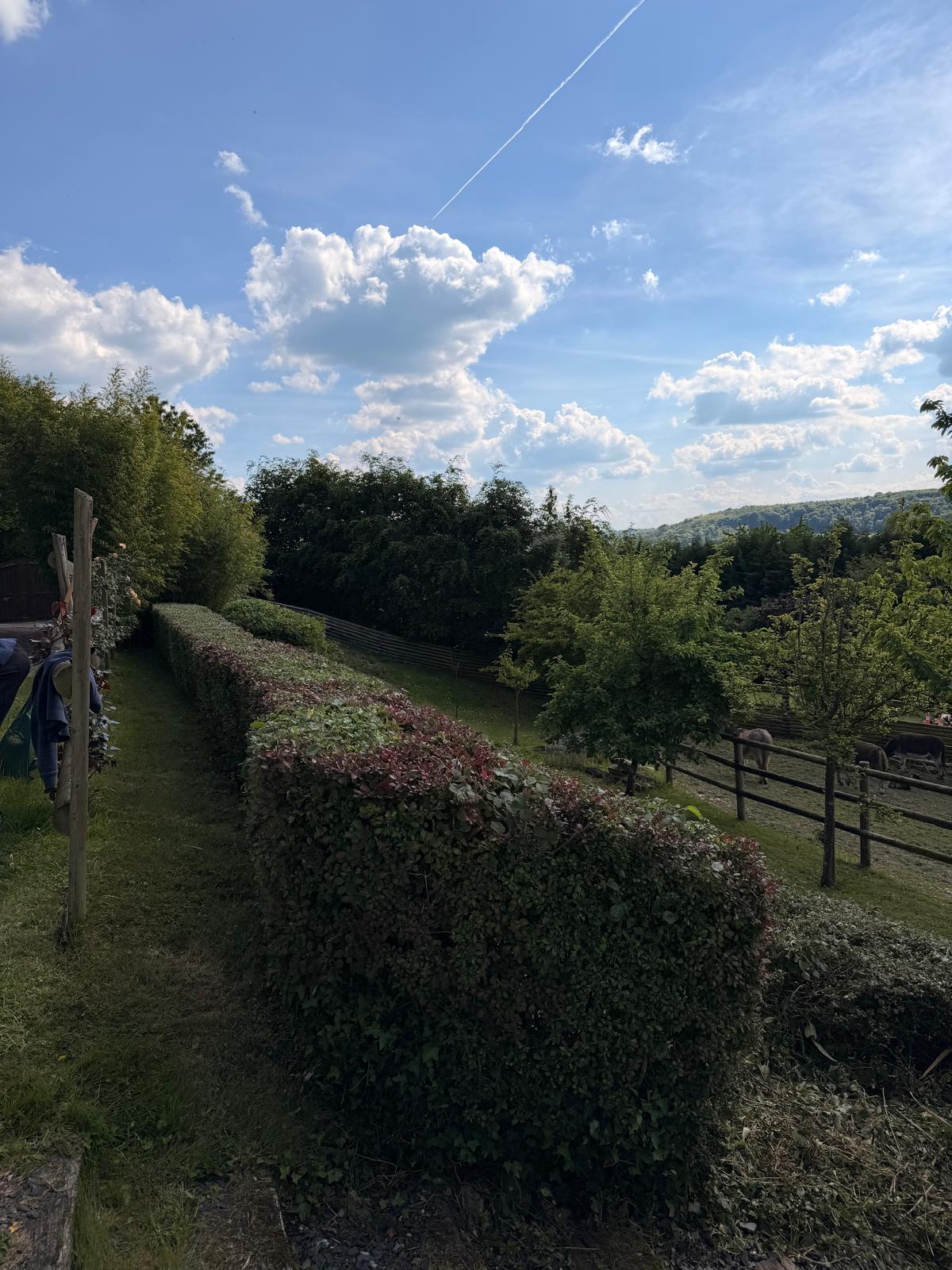Après entretien paysager L&B Paysages