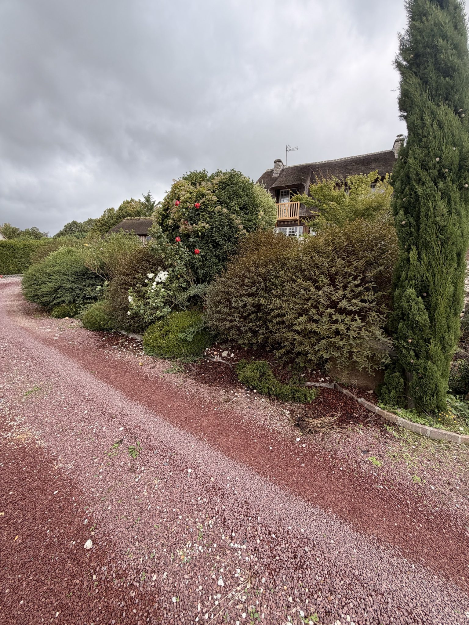 Rénovation de haies et bordures à Pont-l'Évêque