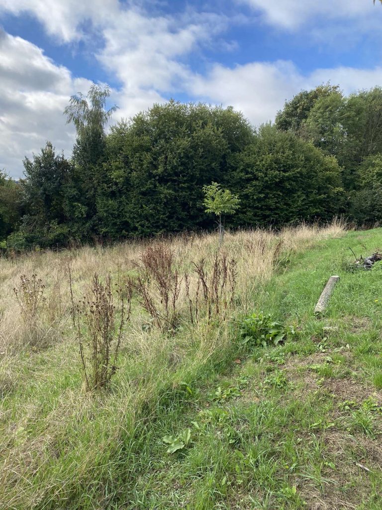Broyage d’un terrain à Lisieux