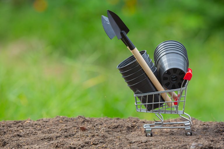 Remise en état jardin à Deauville : conseils et budget